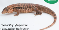 Imagen de la especie invasora